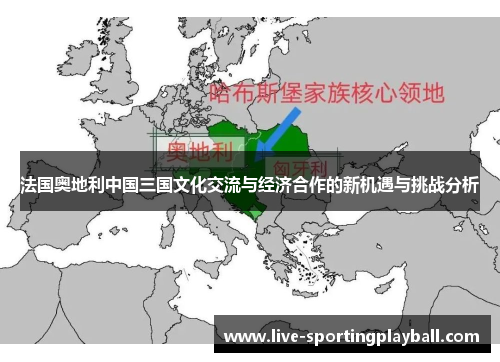 法国奥地利中国三国文化交流与经济合作的新机遇与挑战分析